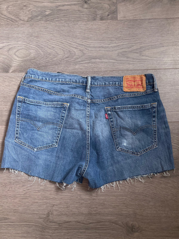 Vintage Up-Cycled Levi's 541 Shorts, Blue, W38, L2
