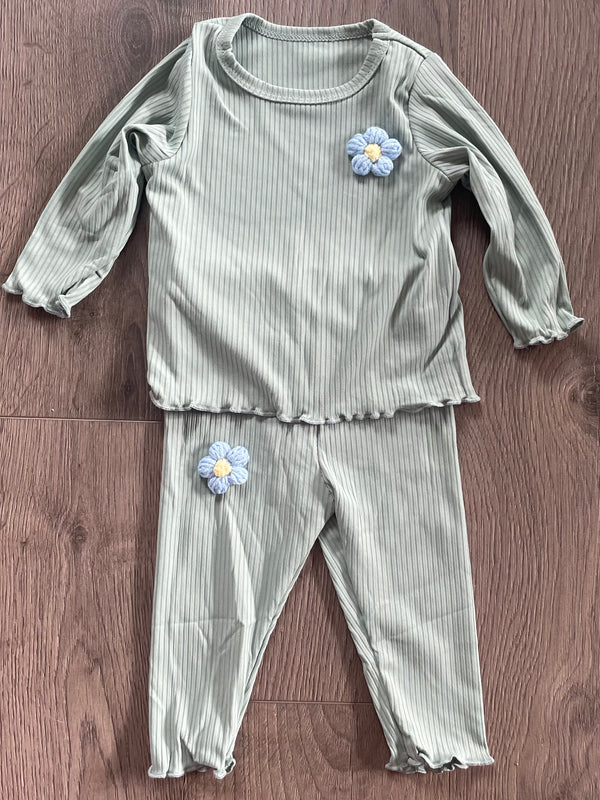 Green Ribbed Flower Top and Leggings (2-3yr)