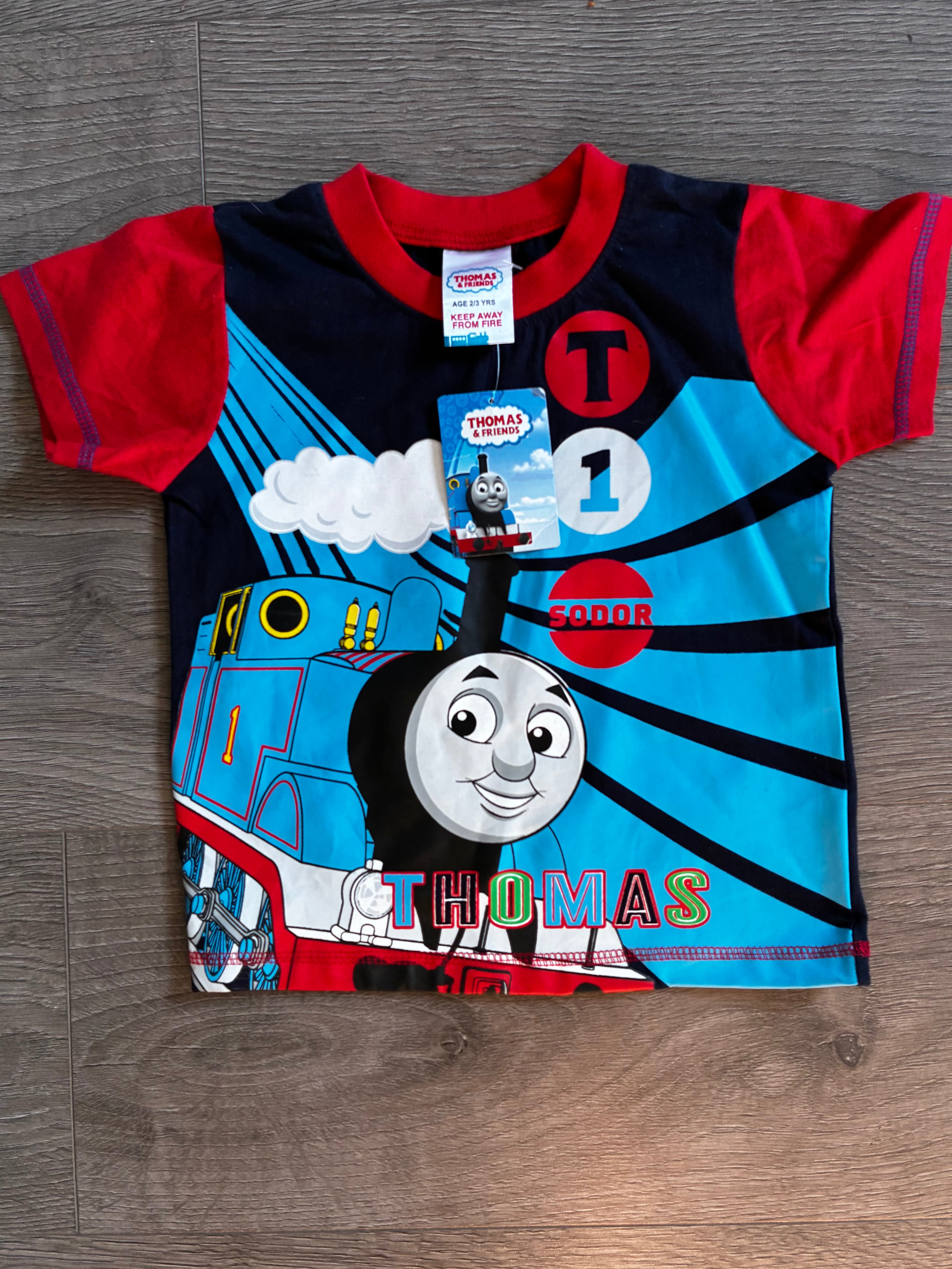 Thomas the Tank Engine T Shirt (2-3yr)