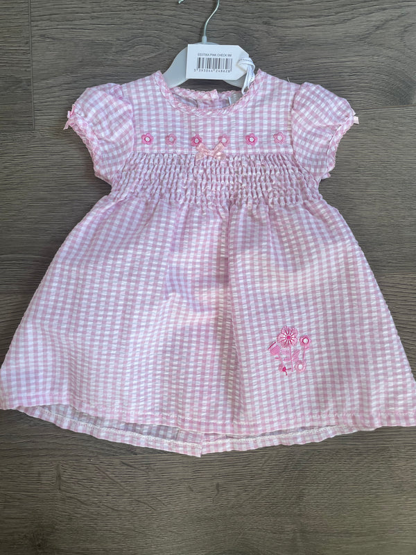 Pink gingham dress (6-9mths)